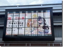 IMG_9681_6