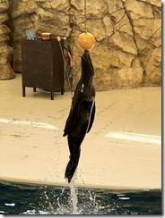IMG_1560_7